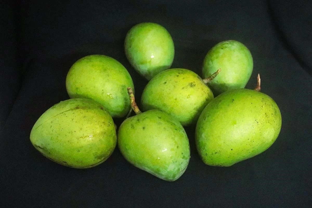 বড় হাড়িভাঙ্গা আম পাকা (১ কেজি)