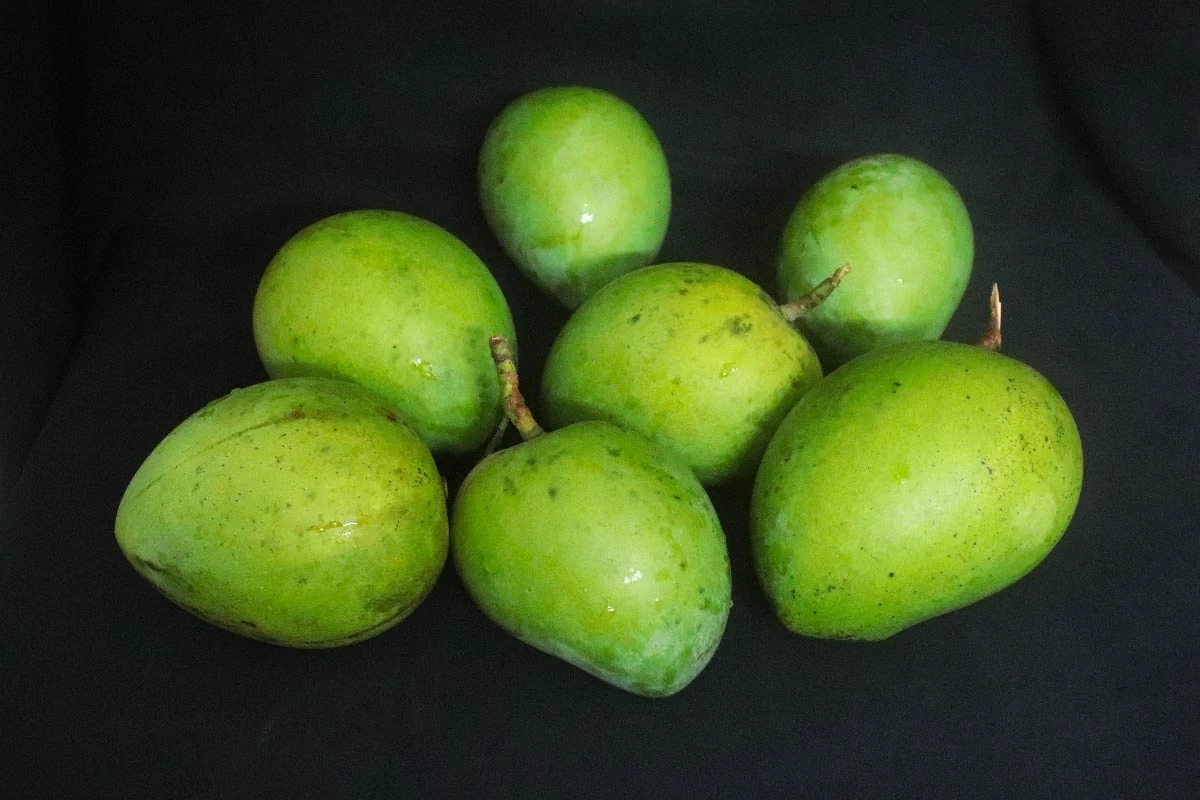 বড় হাড়িভাঙ্গা আম কাঁচা (১ কেজি)