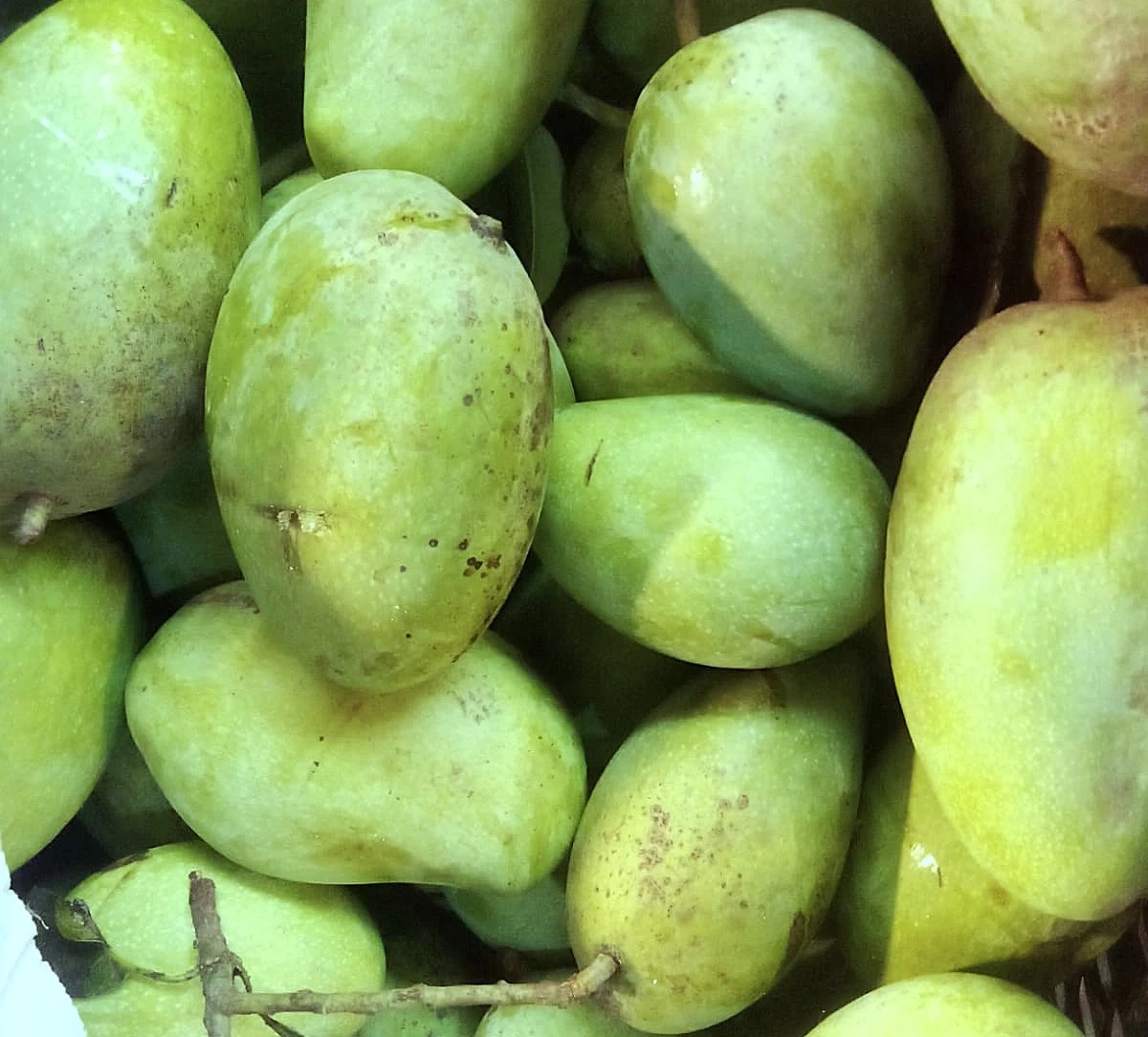 টক আম (১ কেজি)