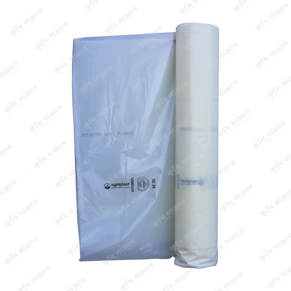 ইউভি পলি (UV Poly) -৫.৫x১০০ মিটার (২০০ মাইক্রন)