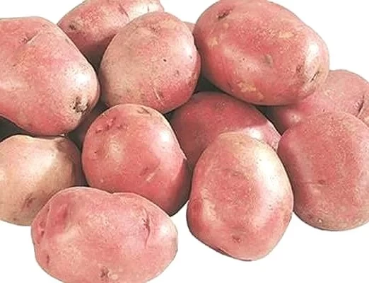 বড় ঝাউ আলু (১ কেজি)
