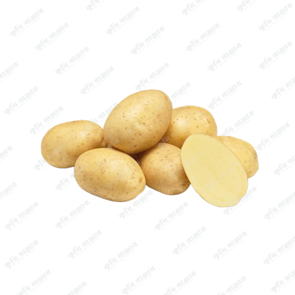 বীজ আলু রেনোমি (  প্রি-বুকিং মুল্য ২০ টাকা কেজি  )