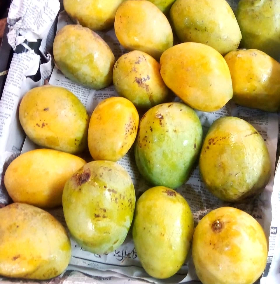 গোপাল ভোগ (১কেজি)