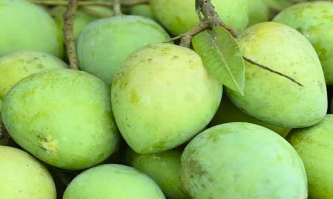 সাদা আম  (১ কেজি)